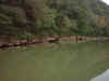 GreenRiver08.jpg (108678 bytes)